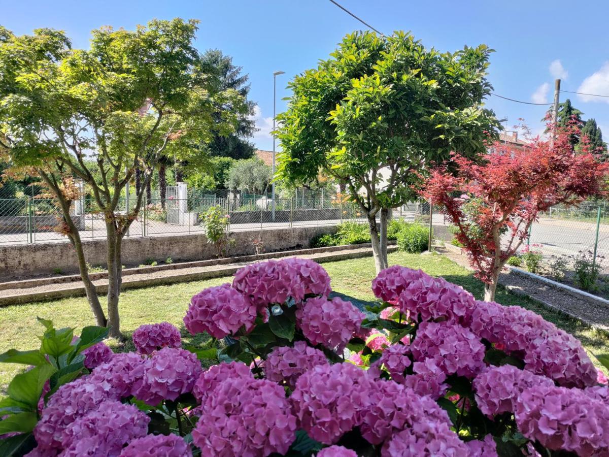阿奎莱亚Casa Magnolia别墅 外观 照片